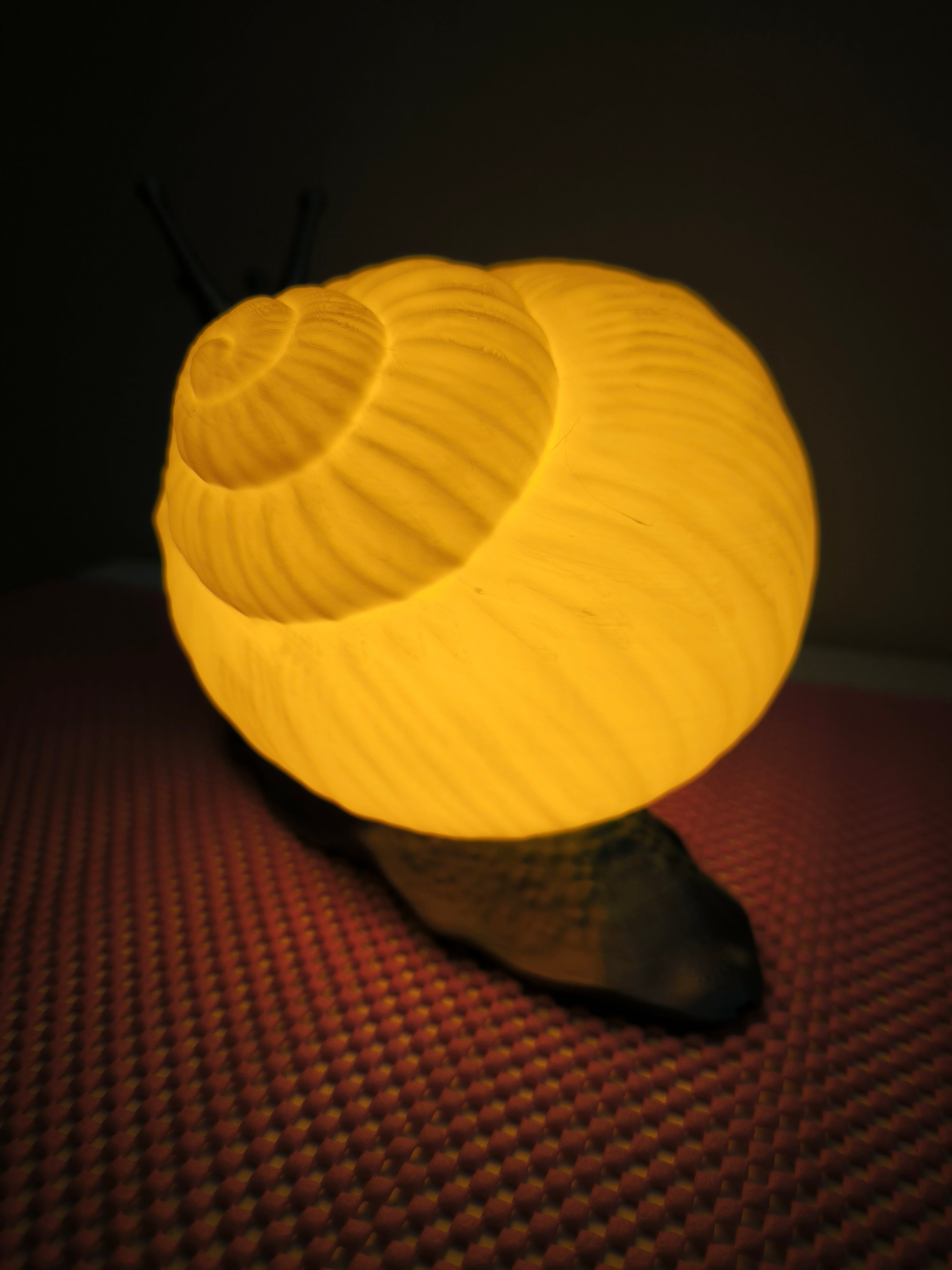 Luce d'Atmosfera "Lumaca Incantata" – Lampada da Tavolo Design 3D