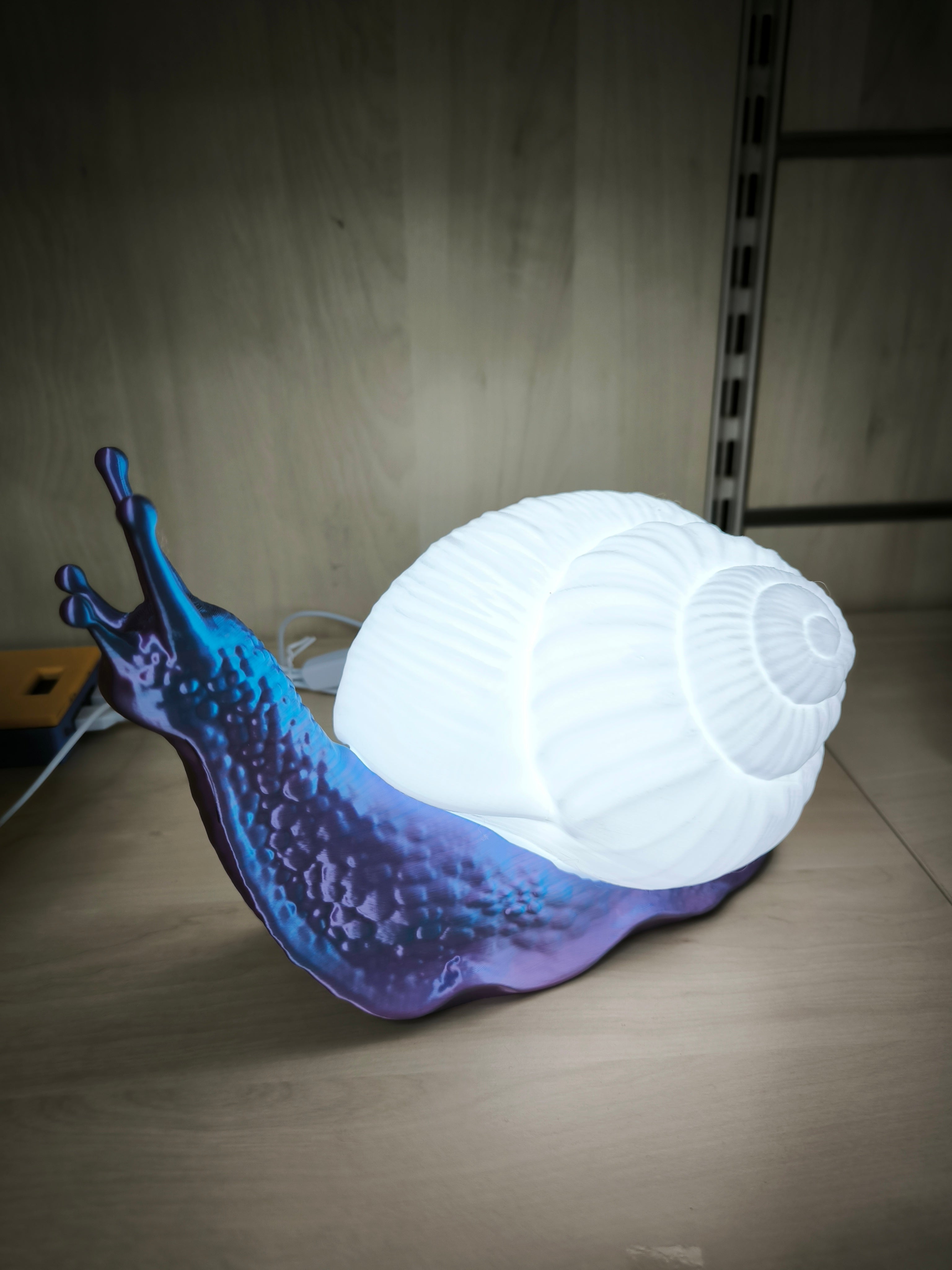 Luce d'Atmosfera "Lumaca Incantata" – Lampada da Tavolo Design 3D